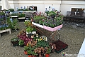 VBS_0857 - Anteprima FloReal 2025